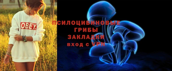 дживик Алексин