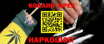 СК Дубна
