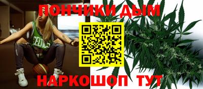 СК Дубна