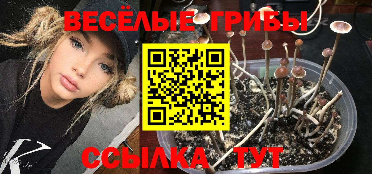 Сунжа  Вейп ТГК  МЕФ кристаллы  ГАШИШ  Вход с VPN  Альфа ПВП СОЛЬ   Марихуана 
