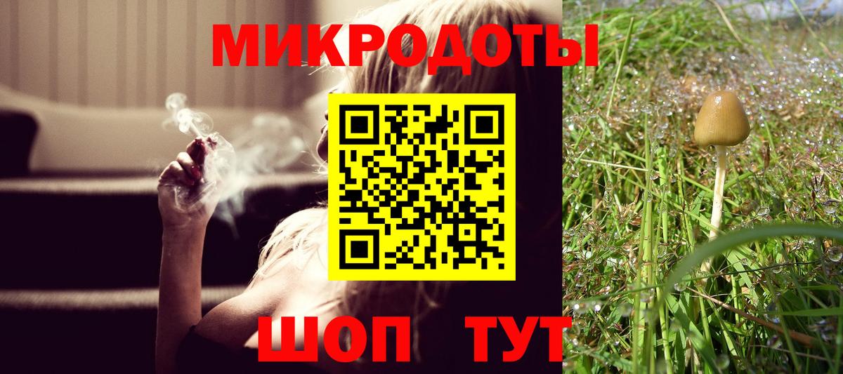 Псилоцибиновые грибы Psilocybe Сунжа