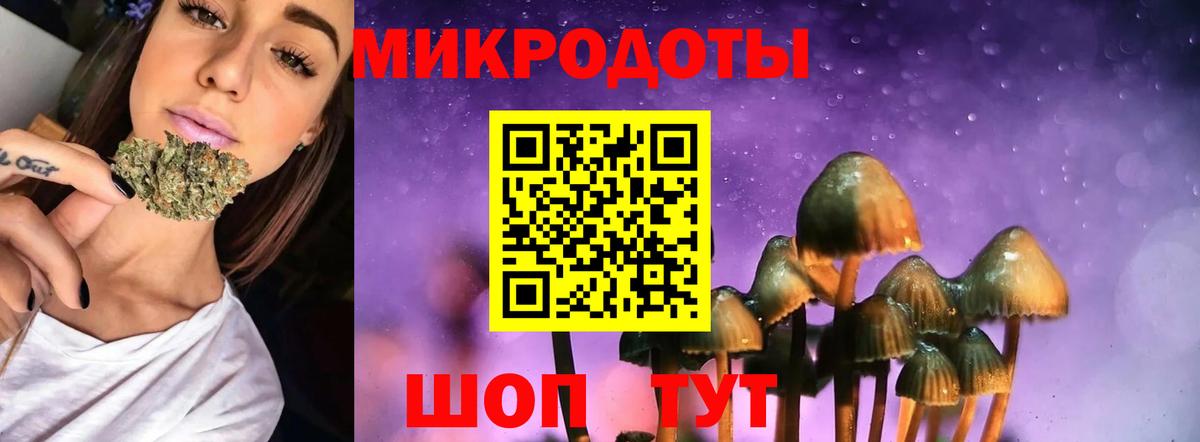 Сунжа  Галлюциногенные грибы Magic Shrooms  Вход с VPN 